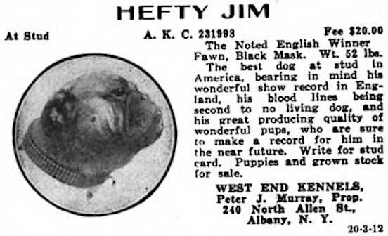 Hefty Jim