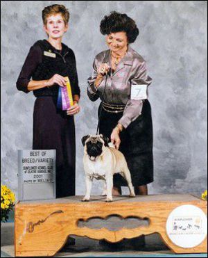 Wiselore'S cody