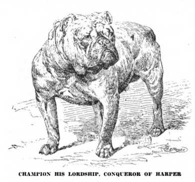 His Lordship, Conqueror of Harper