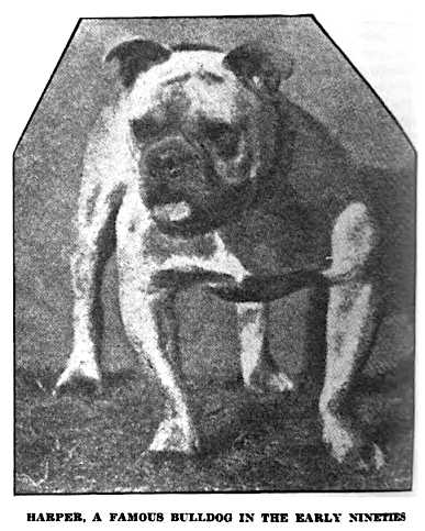 Harper (Early 1900s) [R.B. Sawyer's]