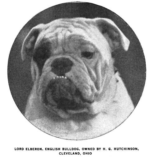 Lord Elberon