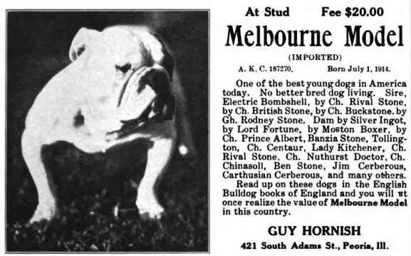 Melbourne Model 187270