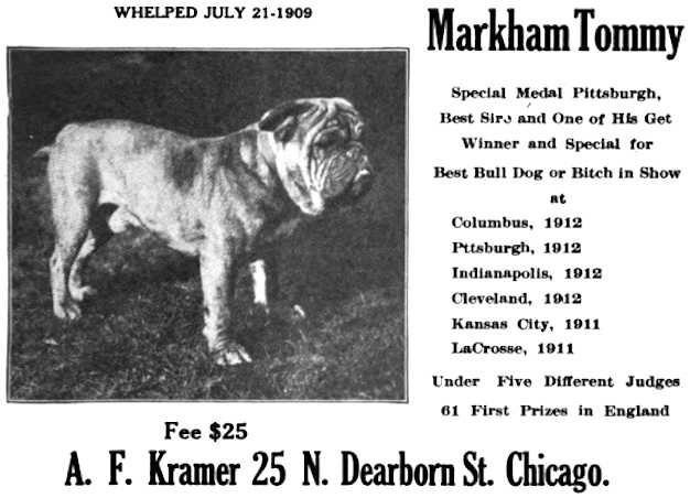 Markham Tommy