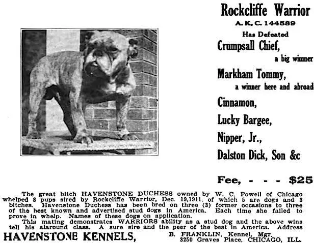 Rockcliffe Warrior