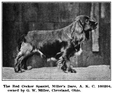 Miller's Dare