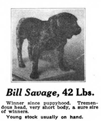Bill Savage