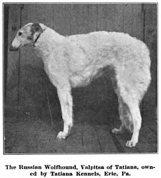 Valpitsa of Tatiana