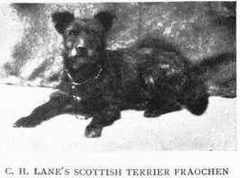 Fraochen [C.H. Lane's]