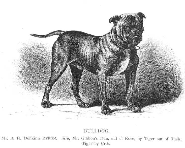 Byron (c.1897) [Mr. B.H. Donkin's]