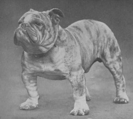 Jasperdin of Din