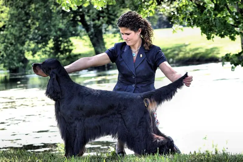 Tamarack Brynbar Calendar Girl