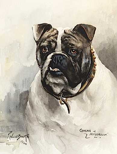 Ceasar of Aldborough