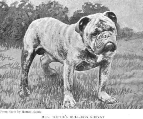 Robyat [Mrs. Tottie's]