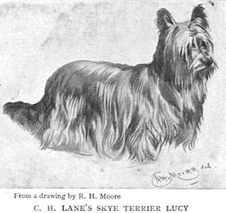 Lucy (C.H. Lane's)