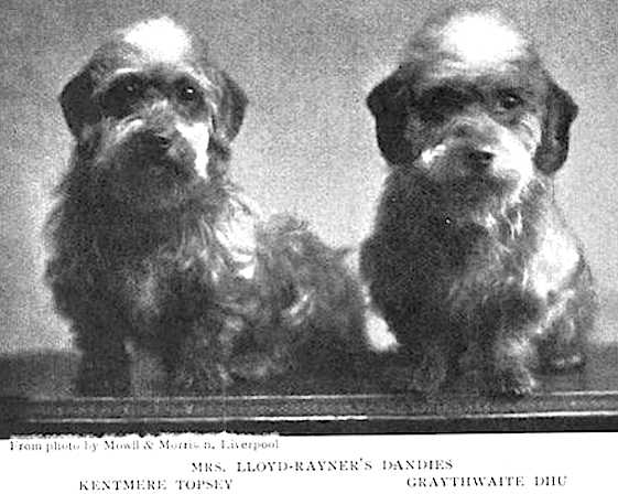 Graythwaite Dhu