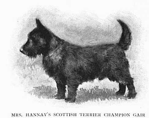 Gair (Mrs Hannay's)