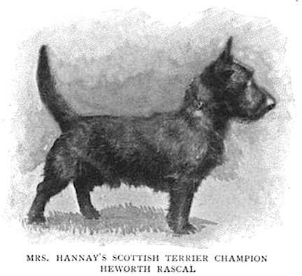 Heworth Rascal