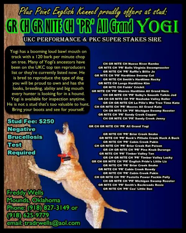 All Grand Yogi