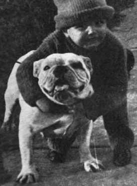McBee's Dinah