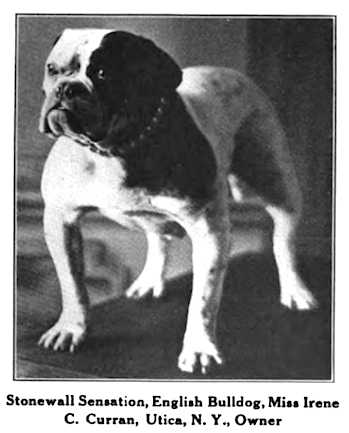 Stonewall Sensation
