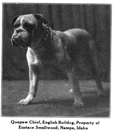 Quapaw Chief
