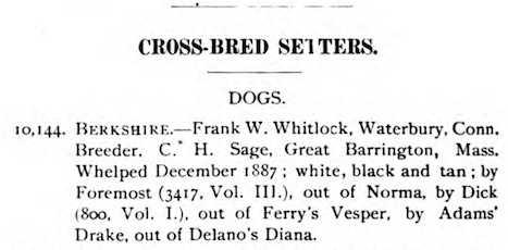 Berkshire (1887)