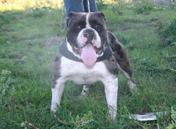 WKA's Kaiser