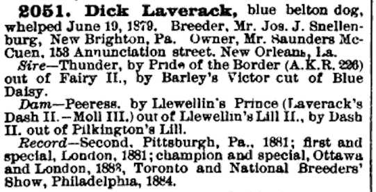 Dick Laverack (AKR 002051)