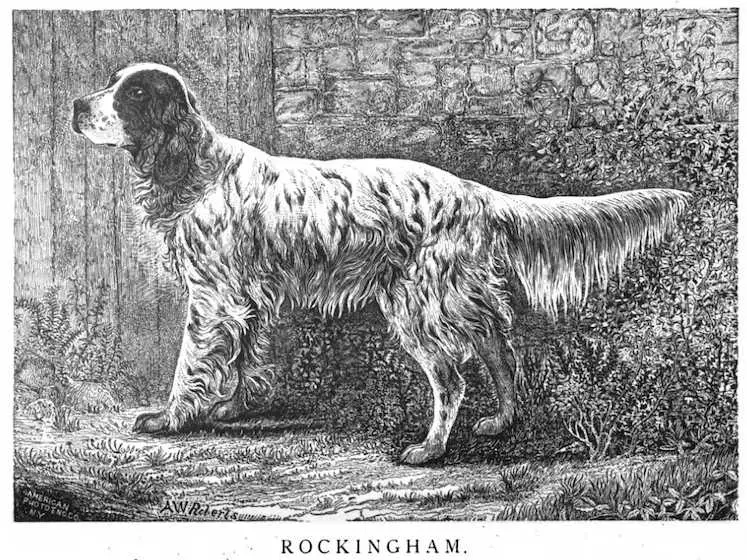 Rockingham (1882) KCSB 013697 (Winder)