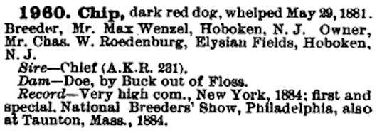 Chip (1881)