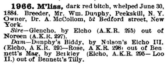 M'liss (1884)