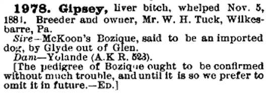 Gipsey (1881)