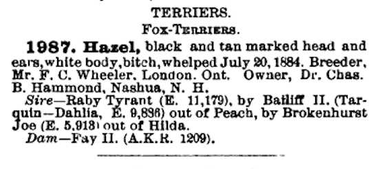 Hazel (1884) AKR 001987