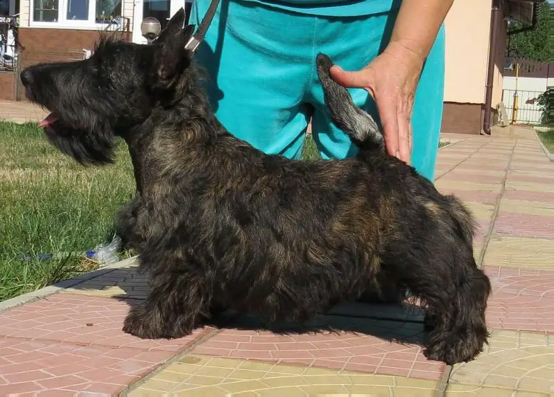Gorgeous Soul Brave&Save
