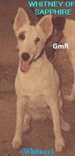 Whitney Of Sapphire At GMR