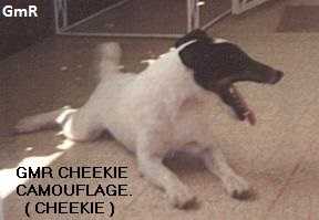 GMR Cheekie Camouflage