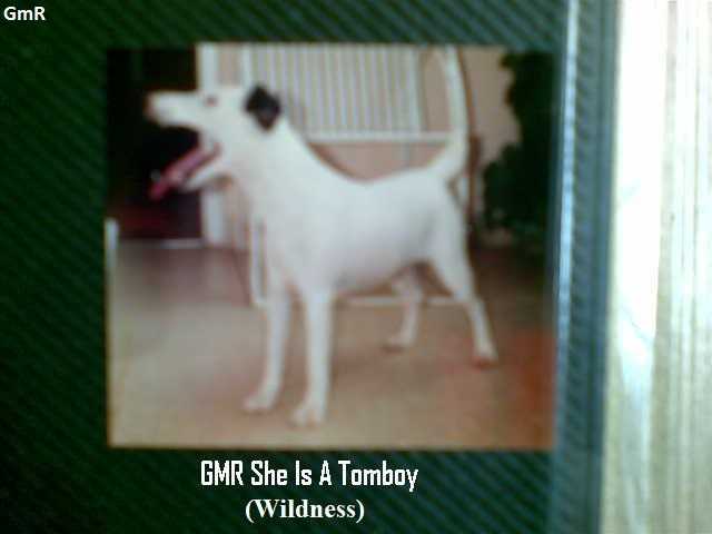 GMR She Is A Tomboy