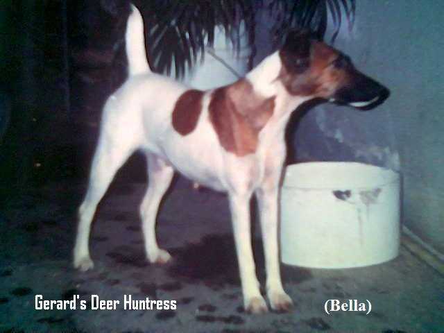 Gerard's Deer Huntress At GMR