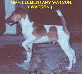 GMR Elementary Watson