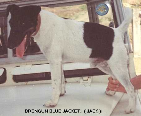 Brengun Blue Jacket