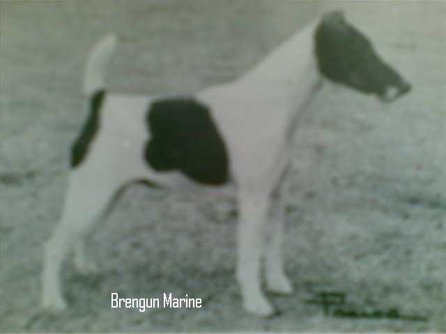 Brengun Marine