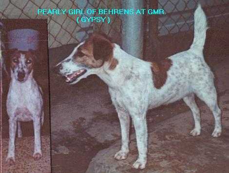 Pearly Girl Of Behrens At GMR