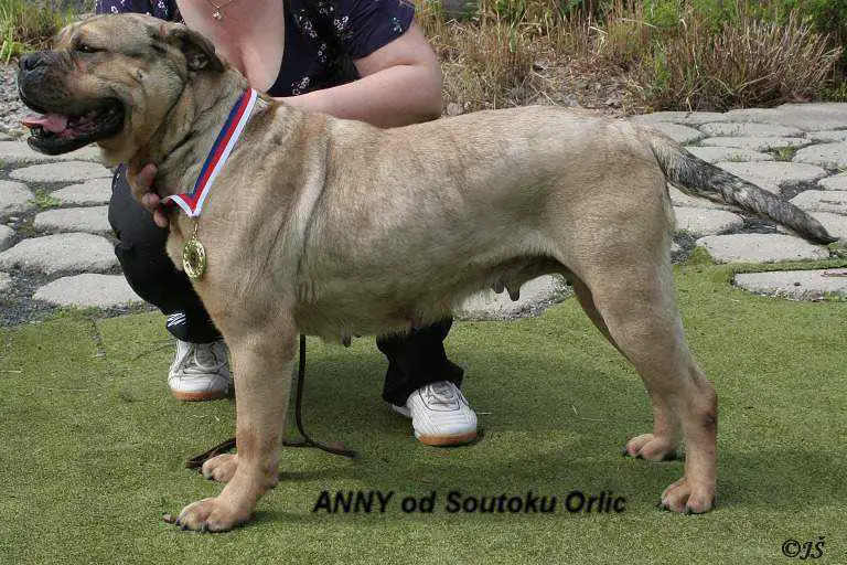 Anny od Soutoku Orlic