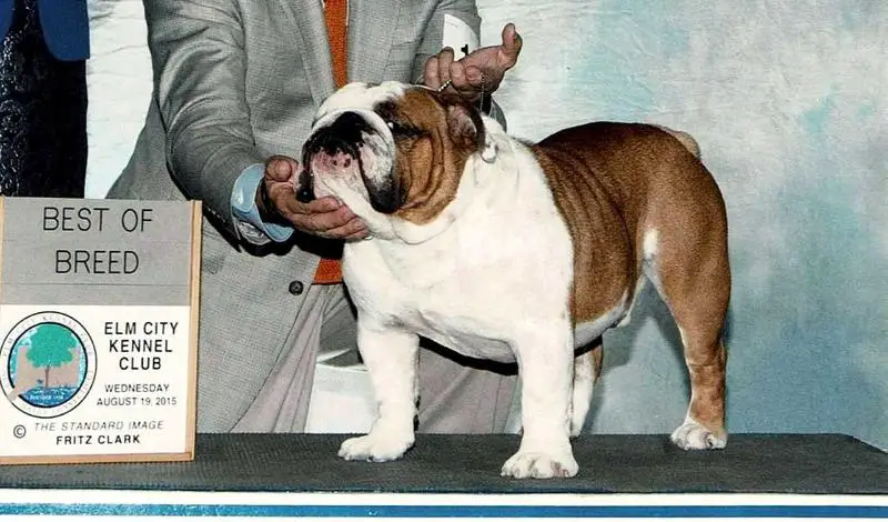 Hetherbull Topline Red Hot Chilli Pepper