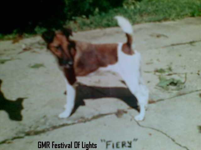 GMR Festival Of Lights