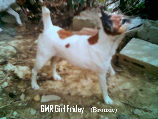 GMR Girl Friday
