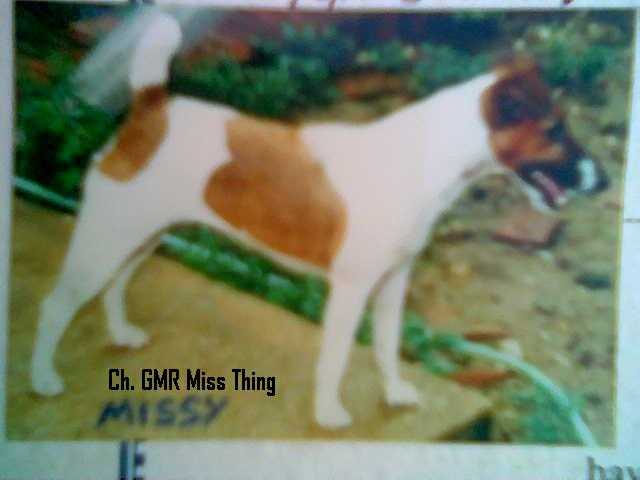 GMR Miss Thing