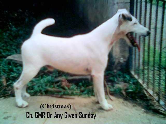 GMR On Any Given Sunday