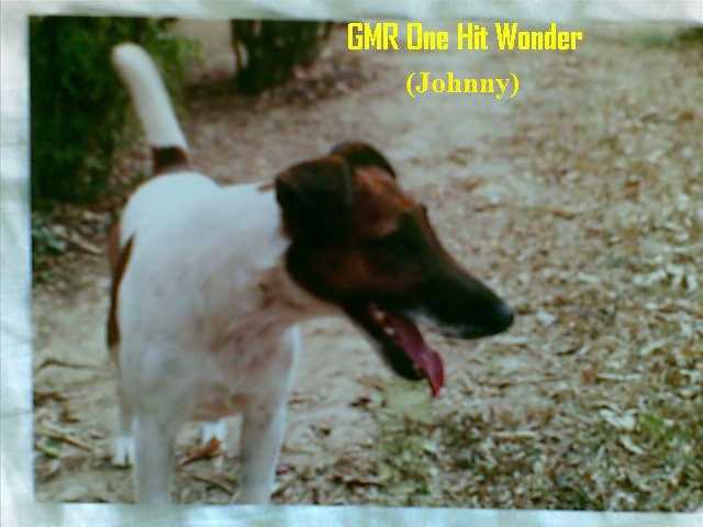 GMR One Hit Wonder