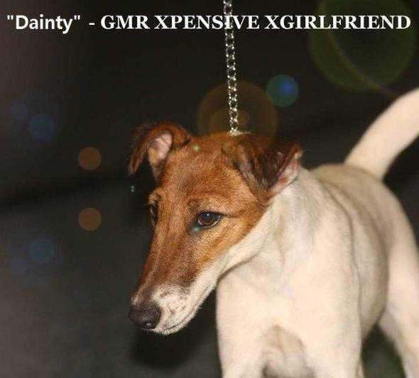 GMR Xpensive Xgirlfriend